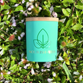 Nourish-Vida natural candle in a matte teal jar with a bamboo lid, featuring a gold leaf logo, resting on green foliage.